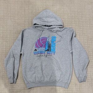 Chicago Windy City Qualifier Volleyball gray sweatshirt hoodie - size medium